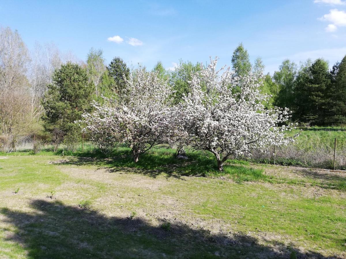 Przystanek Kozia Gora Apartment Luaran gambar